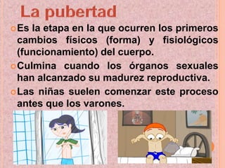 Es la etapa en la que ocurren los primeros
cambios físicos (forma) y fisiológicos
(funcionamiento) del cuerpo.
Culmina cuando los órganos sexuales
han alcanzado su madurez reproductiva.
Las niñas suelen comenzar este proceso
antes que los varones.
 