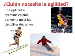 • La agilidad es
necesaria en prác-
ticamente todas las
disciplinas deportivas.
 