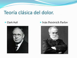 Teoría clásica del dolor.
 Clark Hull  Iván Petróvich Pavlov
 