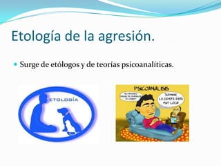 Etología de la agresión.
 Surge de etólogos y de teorías psicoanalíticas.
 