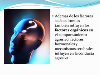  Además de los factores
socioculturales
también influyen los
factores orgánicos en
el comportamiento
agresivo, factores
hormonales y
mecanismos cerebrales
influyen en la conducta
agresiva.
 