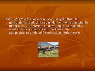 Están clasificadas como primarias : la agricultura, la ganadería, la producción de madera y pesca comercial, la minería, etc.Agropecuarias: tierras bajas, altiplanicies, oasis de riego y plantaciones modernas. No agropecuarias: explotación forestal, minería y pesca 