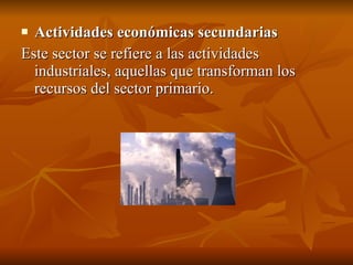 Actividades económicas secundarias Este sector se refiere a las actividades industriales, aquellas que transforman los recursos del sector primario. 