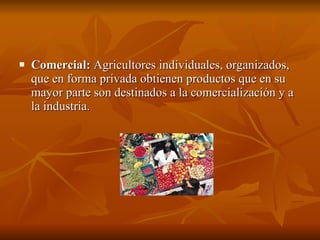 Comercial:  Agricultores individuales, organizados, que en forma privada obtienen productos que en su mayor parte son destinados a la comercialización y a la industria.  