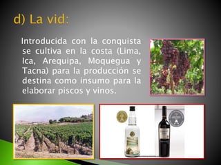 Introducida con la conquista
se cultiva en la costa (Lima,
Ica, Arequipa, Moquegua y
Tacna) para la producción se
destina como insumo para la
elaborar piscos y vinos.
 