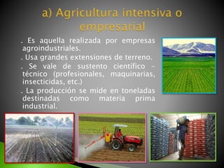 . Es aquella realizada por empresas
agroindustriales.
. Usa grandes extensiones de terreno.
. Se vale de sustento científico -
técnico (profesionales, maquinarias,
insecticidas, etc.)
. La producción se mide en toneladas
destinadas como materia prima
industrial.
 
