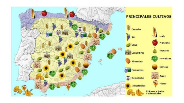 Resultado de imagen de CULTIVOS SECANO EN ESPAÃ‘A