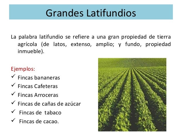 La Agricultura de Subsistencia