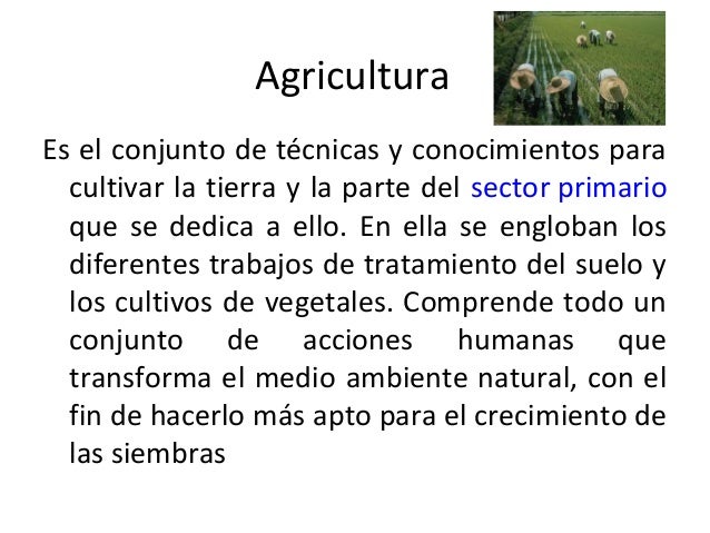 La Agricultura de Subsistencia
