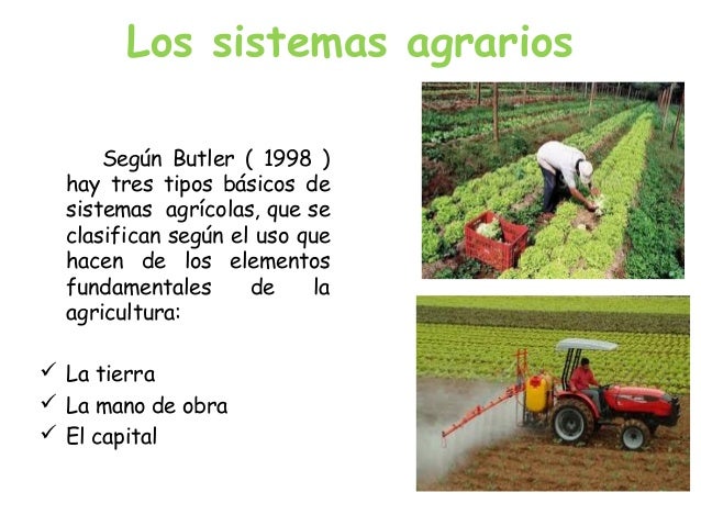 La Agricultura de Subsistencia