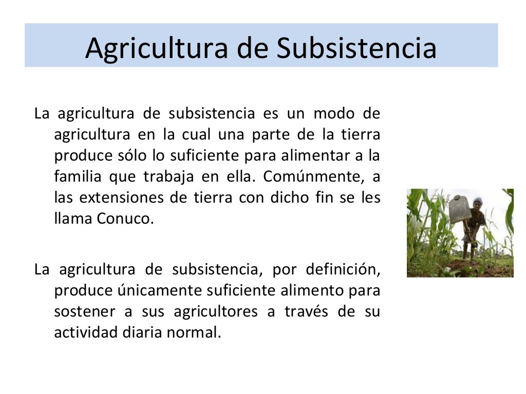 La Agricultura de Subsistencia