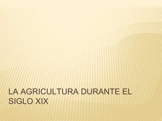 LA AGRICULTURA DURANTE EL
SIGLO XIX
 