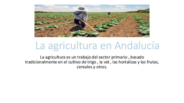 La Agricultura En Andalucia