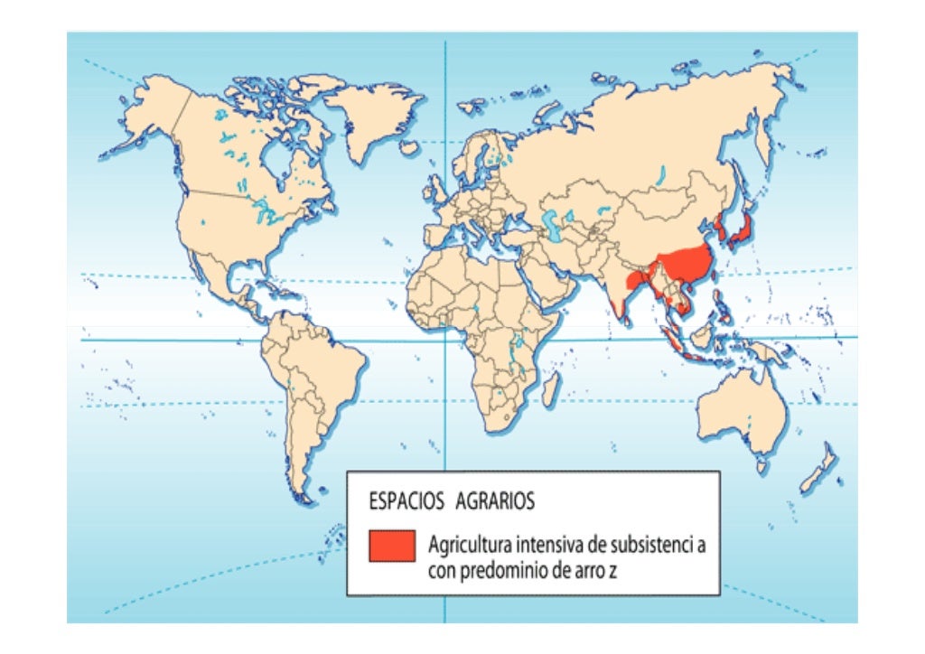 La agricultura en el mundo. Síntesis La agricultura en el mundo. Síntesis