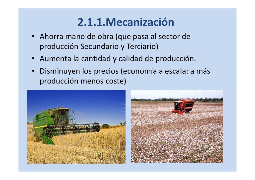 La agricultura en el mundo. Síntesis La agricultura en el mundo. Síntesis