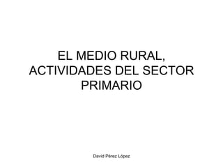 EL MEDIO RURAL, ACTIVIDADES DEL SECTOR PRIMARIO 