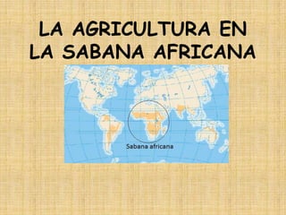 LA AGRICULTURA EN
LA SABANA AFRICANA
 