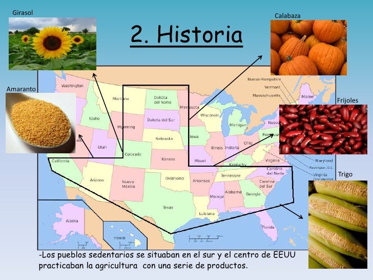 Estados Unidos Agricultura _ Jornal de Angola – DBQZP