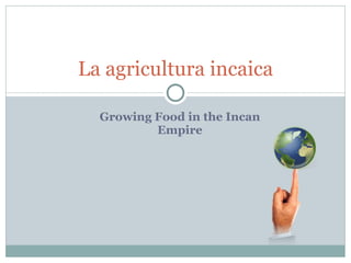 Growing Food in the Incan Empire La agricultura incaica 