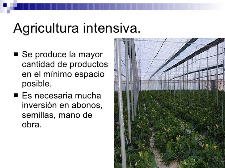 La Agricultura, La GanaderíA Y La Pesca