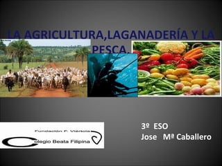 LA AGRICULTURA,LAGANADERÍA Y LA PESCA. 3º  ESO Jose  Mª Caballero 