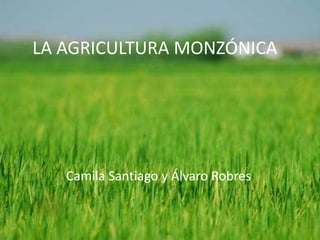 LA AGRICULTURA MONZÓNICA




   Camila Santiago y Álvaro Robres
 