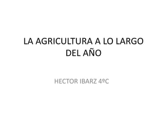 LA AGRICULTURA A LO LARGO
DEL AÑO
HECTOR IBARZ 4ºC
 