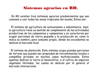 Sistemas agrarios en RD.
En RD existen tres sistemas agrarios predominantes que son
comunes a casi todas las zonas tropicales del mundo; Estos son:
El sistema de agricultura de autoconsumo o subsistencia. Aquí,
la agricultura tiene un sentido de complemento de las actividades
productivas de los campesinos y campesinas y se caracteriza por
ocupar porciones de tierra pequeña y la producción es, como lo
indica su nombre, para consumo propio, donde los excedentes se
dedican al mercado local.
El sistema de plantación. Este sistema ocupa grandes porciones
de terreno que pueden ser propiedad de terratenientes locales o
compañías privadas en muchos casos multinacionales. Estos
agentes dedican la tierra al monocultivo, o al cultivo de especies
vegetales limitadas, las cuales se dedican por lo general al
mercado internacional.
 