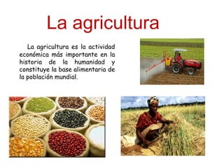 La agricultura es la actividad
económica más importante en la
historia de la humanidad y
constituye la base alimentaria de
la población mundial.
La agricultura
 