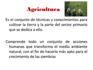 Agricultura
Es el conjunto de técnicas y conocimientos para
cultivar la tierra y la parte del sector primario
que se dedica a ello.
Comprende todo un conjunto de acciones
humanas que transforma el medio ambiente
natural, con el fin de hacerlo más apto para el
crecimiento de las siembras
 