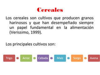 Cereales
Los cereales son cultivos que producen granos
harinosos y que han desempeñado siempre
un papel fundamental en la alimentación
(Verissimo, 1999).
Los principales cultivos son:
 