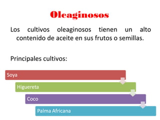 Oleaginosos
Los cultivos oleaginosos tienen un alto
contenido de aceite en sus frutos o semillas.
Principales cultivos:
 