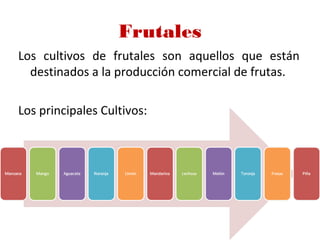 Frutales
Los cultivos de frutales son aquellos que están
destinados a la producción comercial de frutas.
Los principales Cultivos:
 