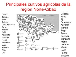 Principales cultivos agrícolas de la
región Norte-Cibao
Cacao
Tomate
Maní
Guineo
Caña de Azúcar
Arroz
Tabaco
Café
Aguacate
Naranja
Flores
Hortalizas
Yuca
Tomate
Piña
Uva
Cebolla
Papa
Ajo
Berenjena
Auyama
Mango
Trigo
Avena
Cebada
Manzana
Fresa
Lechosa
Melón
Coco
Palma
africana
 
