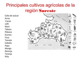 Principales cultivos agrícolas de la
región Sureste
Caña de azúcar
Arroz
Cacao
café
Maní
Tabaco
Plátano
Guineo
Yuca
Tomate
Cebolla
Papa
Mango
Naranja
Toronja
Piña
 