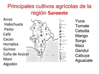 Principales cultivos agrícolas de la
región Suroeste
Arroz
Habichuela
Pasto
Café
Cacao
Hortaliza
Guineo
Caña de Azúcar
Maní
Algodón
Yuca
Tomate
Cebolla
Mango
Sorgo
Maíz
Gandul
Cabuya
Aguacate
 
