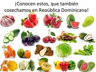 ¡Conocen estos, que también
cosechamos en República Dominicana!
 