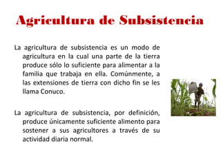 Agricultura de Subsistencia
La agricultura de subsistencia es un modo de
agricultura en la cual una parte de la tierra
produce sólo lo suficiente para alimentar a la
familia que trabaja en ella. Comúnmente, a
las extensiones de tierra con dicho fin se les
llama Conuco.
La agricultura de subsistencia, por definición,
produce únicamente suficiente alimento para
sostener a sus agricultores a través de su
actividad diaria normal.
 