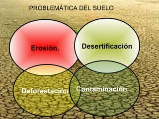 PROBLEMÁTICA DEL SUELO




  Erosión.       Desertificación




Deforestación   Contaminación
 
