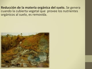Reducción de la materia orgánica del suelo. Se genera
cuando la cubierta vegetal que provee los nutrientes
orgánicos al suelo, es removida.
 