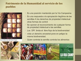 Patrimonio de la Humanidad al servicio de los
pueblos

               • Es una posición mantenido por la Vía Campesina
               • Es una respuesta a la apropiación ilegítima de las
                 semillas A los derechos de propiedad intelectual
                 otras formas de control
               • Se oponen al reconocimiento de cualquier forma
                 de propiedad intelectual a las semillas
               • Los DPI limita el libre flujo de la biodiversidad
               • viola un derecho ancestral pone en peligro la
                 misma biodiversidad.
               • Quien controla la semilla controla los alimentos
 
