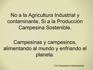 No a la Agricultura Industrial y
 contaminante, Si a la Producción
      Campesina Sostenible.

    Campesinas y campesinos,
alimentando al mundo y enfriando el
             planeta.
                     Vía Campesina Internacional
 