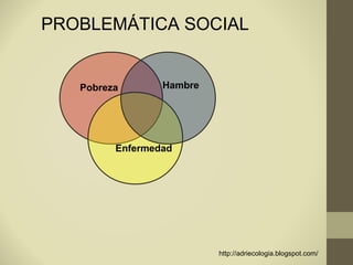 PROBLEMÁTICA SOCIAL


   Pobreza       Hambre




         Enfermedad




                          http://adriecologia.blogspot.com/
 