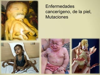 Enfermedades
cancerígeno, de la piel,
Mutaciones
 