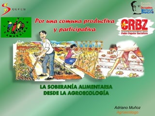 Adriano Muñoz
Agroecólogo
 