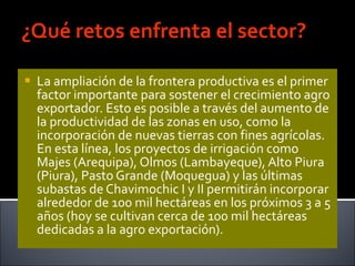 ¿Qué retos enfrenta el sector? La ampliación de la frontera productiva es el primer factor importante para sostener el crecimiento agro exportador. Esto es posible a través del aumento de la productividad de las zonas en uso, como la incorporación de nuevas tierras con fines agrícolas. En esta línea, los proyectos de irrigación como Majes (Arequipa), Olmos (Lambayeque), Alto Piura (Piura), Pasto Grande (Moquegua) y las últimas subastas de Chavimochic I y II permitirán incorporar alrededor de 100 mil hectáreas en los próximos 3 a 5 años (hoy se cultivan cerca de 100 mil hectáreas dedicadas a la agro exportación).  