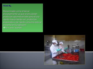 Nivel #4 Denominado como el tercer procesamiento ya que se encuestan productos agroindustriales para el uso rápido mayormente son  productos preparados o de rápido consumo esto se presenta en Europa,ejm: Azucares, aceites. 