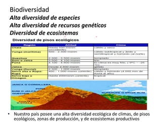 Biodiversidad
Alta diversidad de especies
Alta diversidad de recursos genéticos
Diversidad de ecosistemas
• Nuestro país posee una alta diversidad ecológica de climas, de pisos
ecológicos, zonas de producción, y de ecosistemas productivos
 