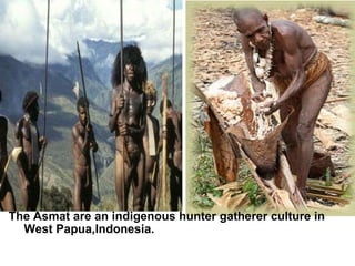 The Asmat are an indigenous hunter gatherer culture in          West Papua,Indonesia.  