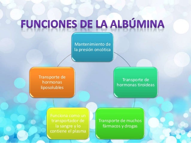 La albúmina